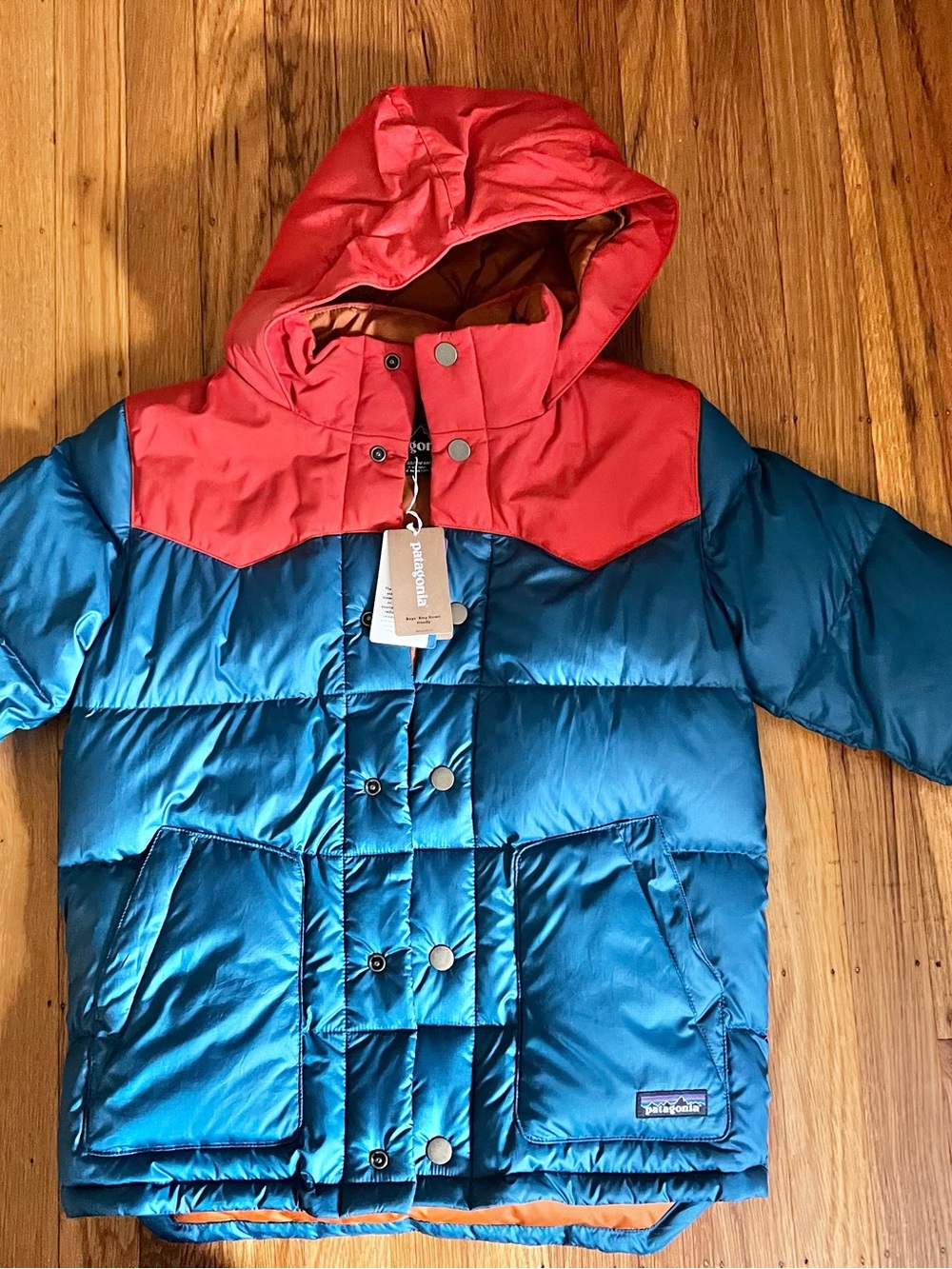 Patagonia Kids Teal Blue & Red Hooded Puffer Jacket